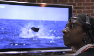 control_remotokebuna2015