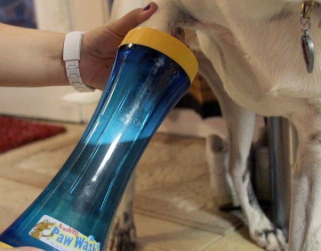 Inventos-mascotas-15