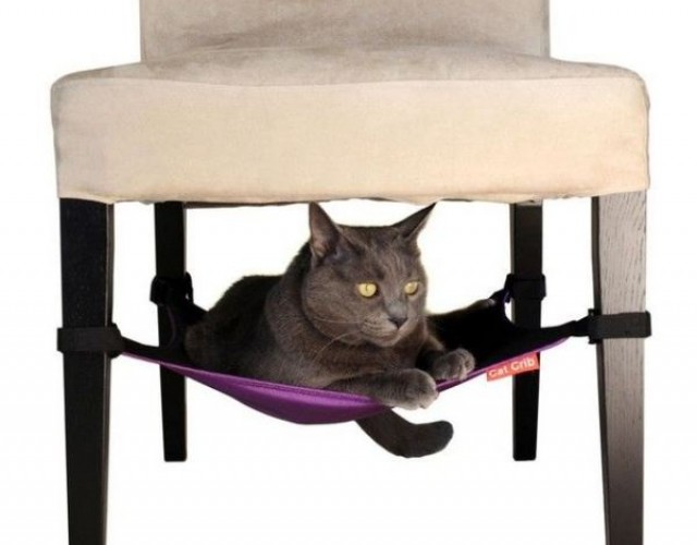 Inventos-mascotas-17