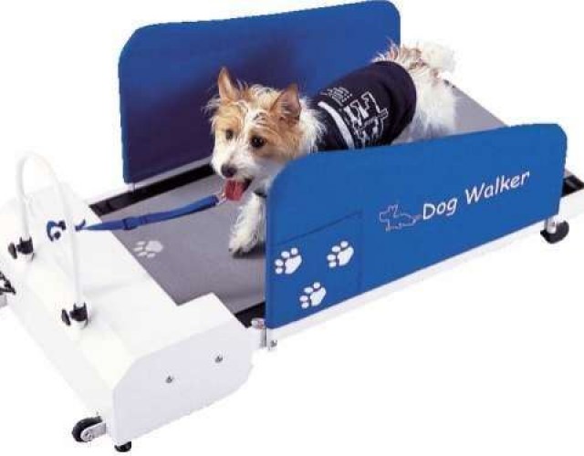 Inventos-mascotas-19