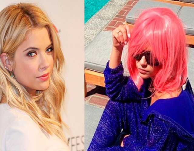 cq5dam.web.1280.1280 (11)