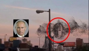 150344_55d241053585c