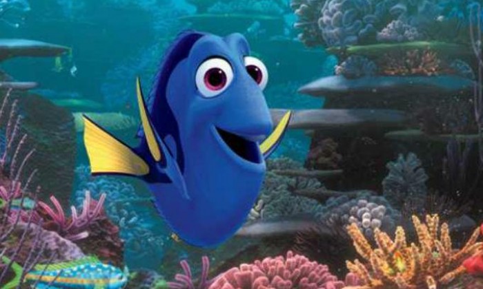 dory-1