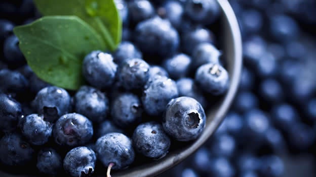 mora-azul-morazul-blueberry-blueberries-1