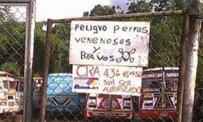 11168881_1223749837651433_2275437018104423275_n