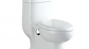 One-Piece-WC-Toilet-B11004-