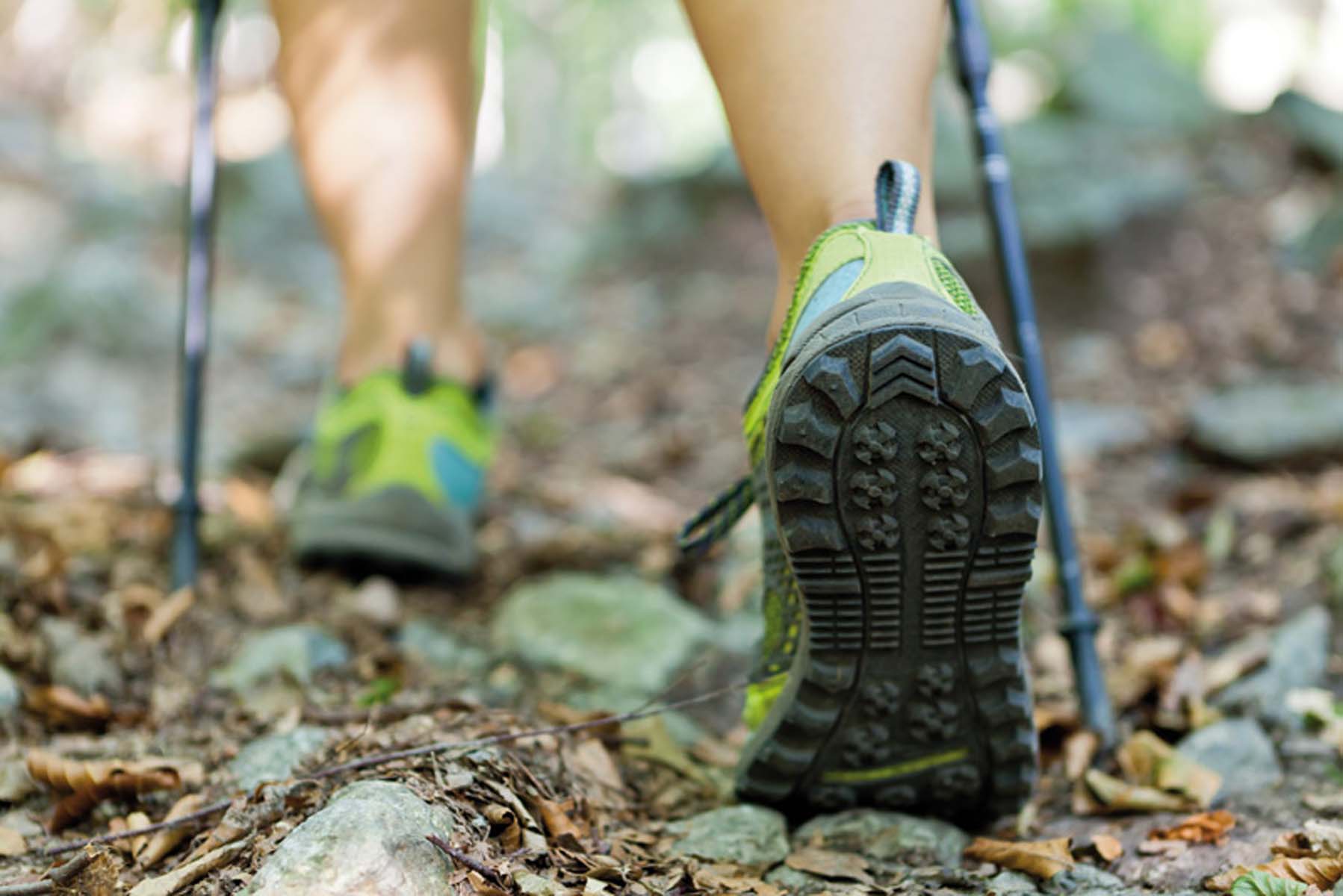 Woman hiking and nordic walking in autumn forest