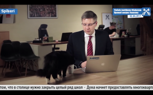 Interrupción de un gato