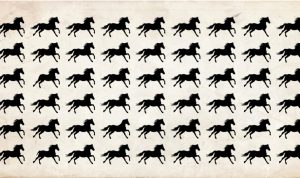 acertijo de los caballos