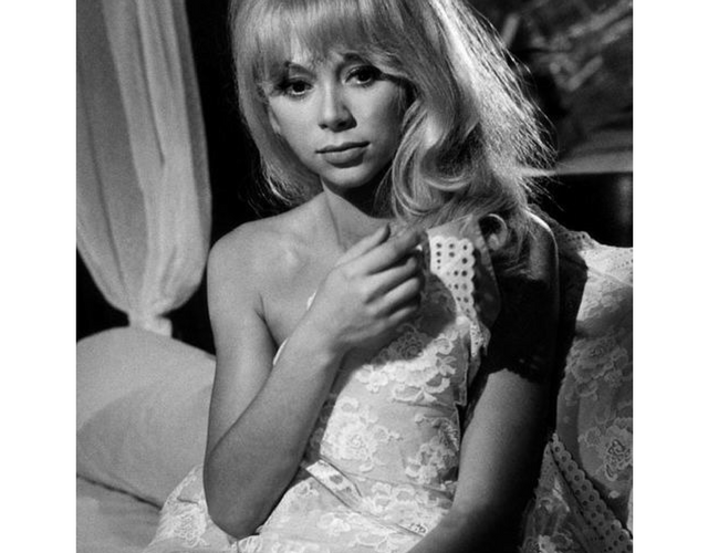 Mireille Darc