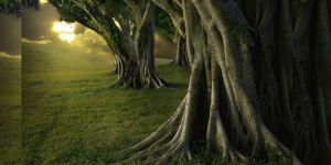 Los Hijos de la Mañana