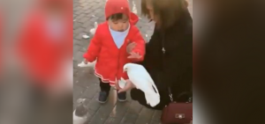 No pararás de reír con este video que muestra una inusual interacción entre una niña y una paloma.