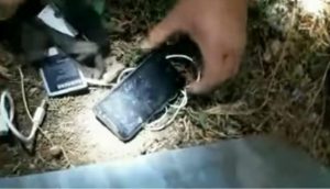 De nuevo la realidad supera la ficción, este gato que ingresaba ilícitamente un teléfono celular para llevárselo a un preso.