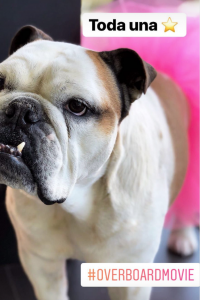 Así lució la familia de Eugenio Derbez en la premier de “Hombre al Agua”