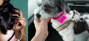 Una actriz mexicana fue atacada por dos perros de los que tuvo que defender de su propia mascota.