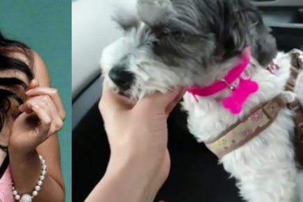 Una actriz mexicana fue atacada por dos perros de los que tuvo que defender de su propia mascota.
