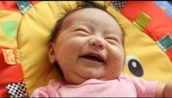 El Show de Chato y Cheto