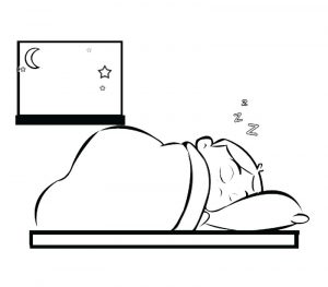 El Show de Chato y Cheto