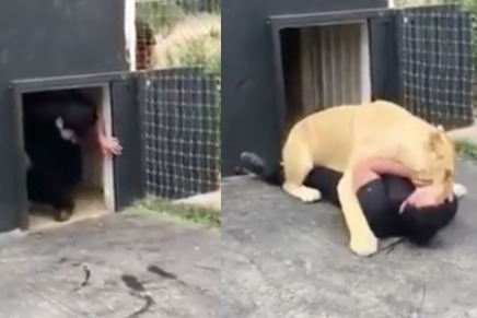 León recibe a su criador de manera inesperada y se hace viral