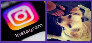 Instagram- primera foto