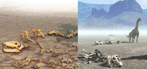 Este fenómeno causó la mayor extinción que se haya visto en el planeta