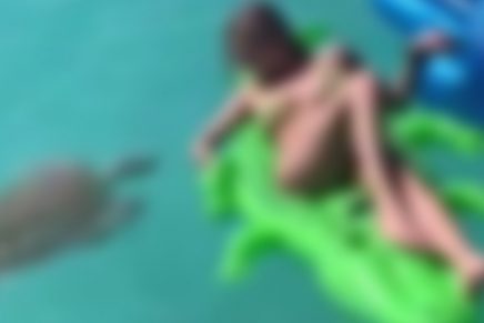 Mujer protagoniza bochornoso momento con tortuga marina