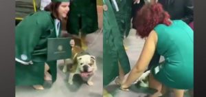 Untitled design (14)