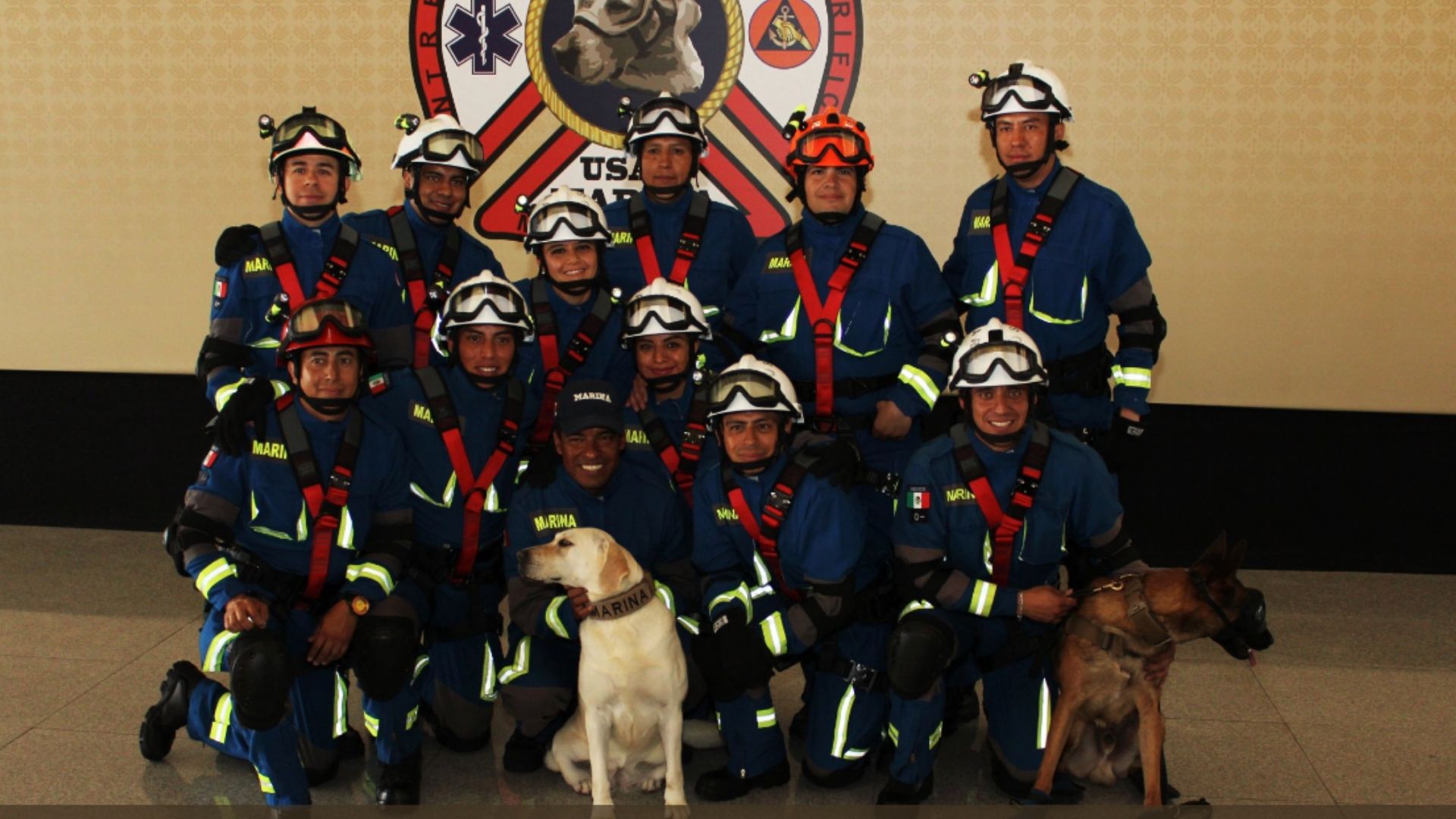 frida-perrita-rescatista