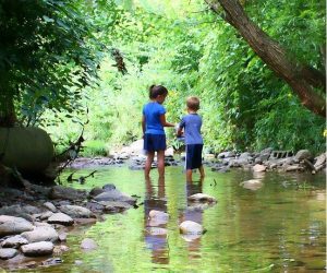 Untitled design (18)