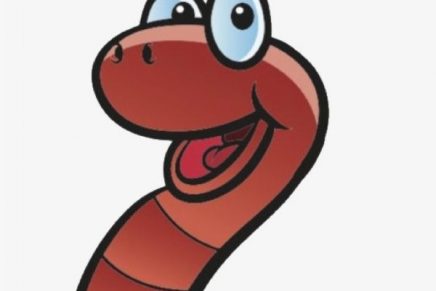 El Show de Chato y Cheto