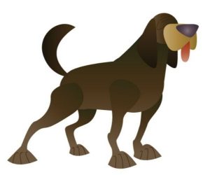 Untitled design - 2019-08-15T180057.263