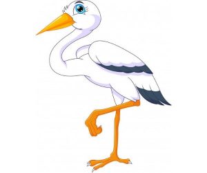 Untitled design (73)