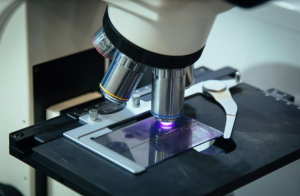 Captura de pantalla 2019-11-15 a las 13.54.26