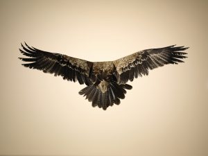 GettyImages-1154045539 (1)