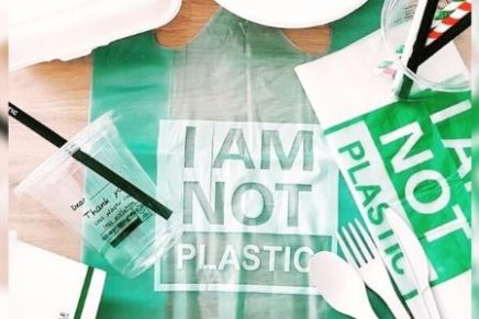 bolsas biodegradables