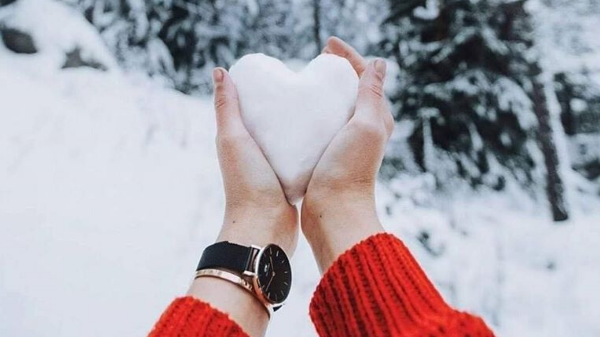 Pistantrofobia: el miedo que no te permite amar de nuevo