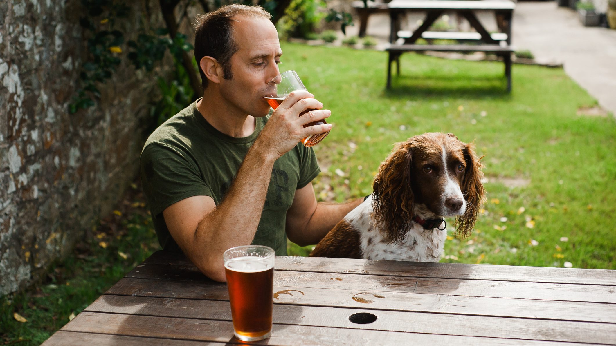 Cerveza gratis durante tres meses si adoptas un perro