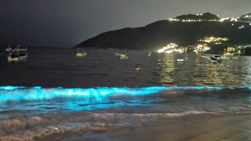 Playas de Acapulco