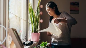 plantitas-que-dan-buena-suerte-para-tu-hogar-y-que-debes-de-tener