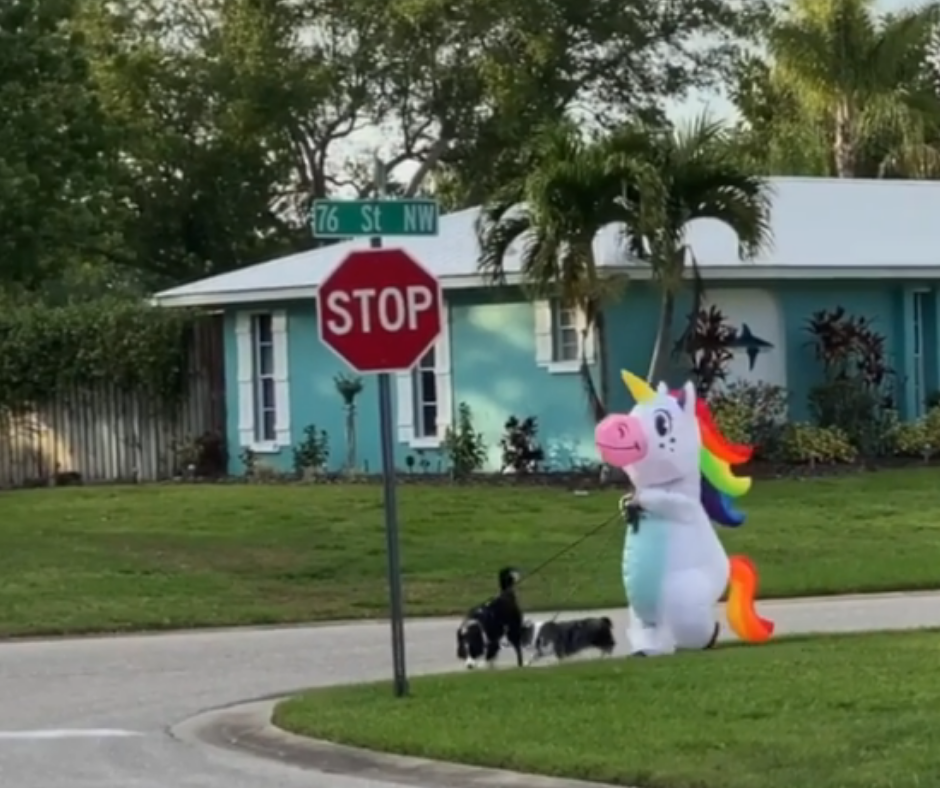 unicornio