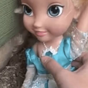 Familia intenta deshacerse de muñeca que ya ha regresado 2 veces