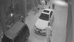 un-jugador-de-la-nfl-se-encuentra-con-dos-osos-en-su-casa