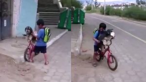 Niño causa ternura al ponerle cubrebocas a su perrito para salir a la tienda