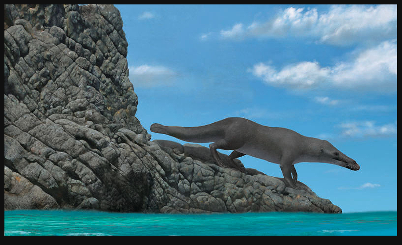 descubren-ballena-con-4-patas-y-causa-desconcierto