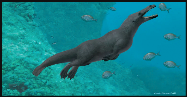 descubren-ballena-con-4-patas-y-causa-desconcierto