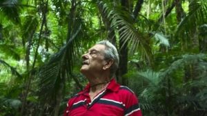 este-hombre-planto-50000-arboles-y-ahora-vive-en-un-gran-bosque