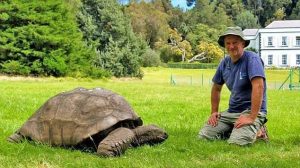 conoce-a-jonathan-la-tortuga-mas-vieja-del-mundo-con-188-anos