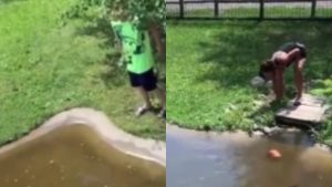 madre-e-hijo-recuperan-una-cartera-en-un-estanque-lleno-de-cocodrilos