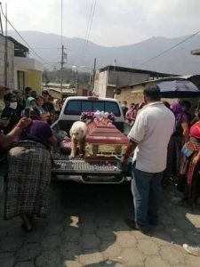 Abuelita fallece por civid-19 y su perrito la sigue hasta el final