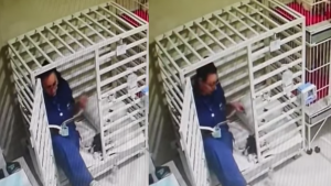 Captan a veterinaria contándole un cuento a perrito recién operado